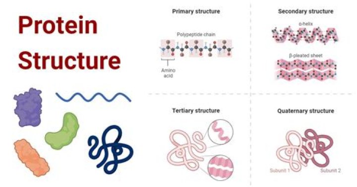 What are Proteins part of?
