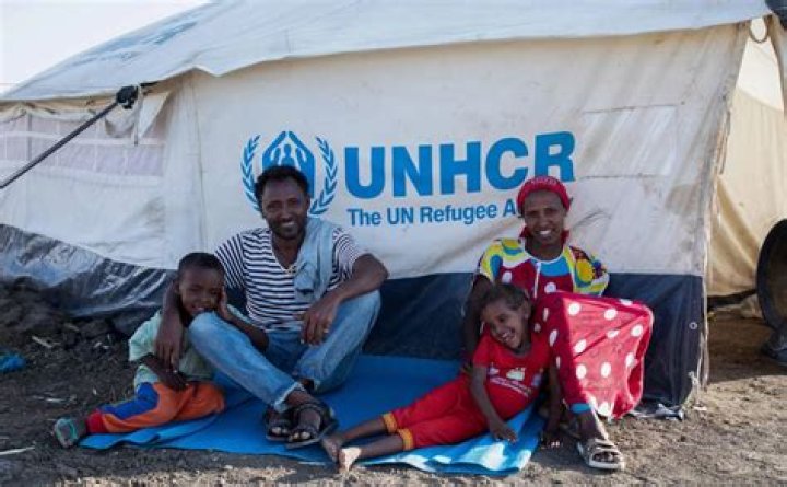 What are refugee tents made of?