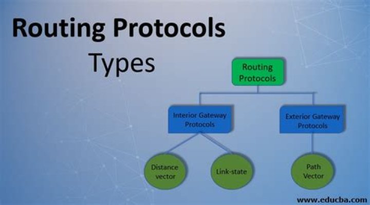 What are routing and switching protocols?