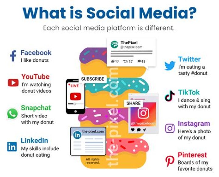 What are social media links?