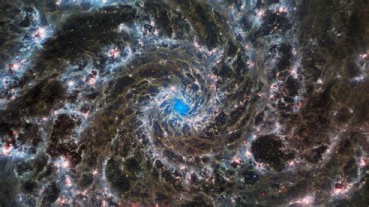 What are some amazing discoveries?