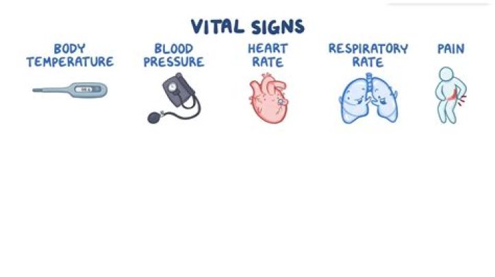 What are some factors that affect vital signs?
