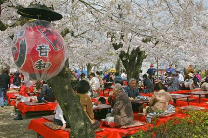 What are some Japanese holidays?