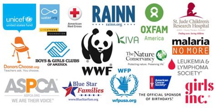 What are some local organizations?