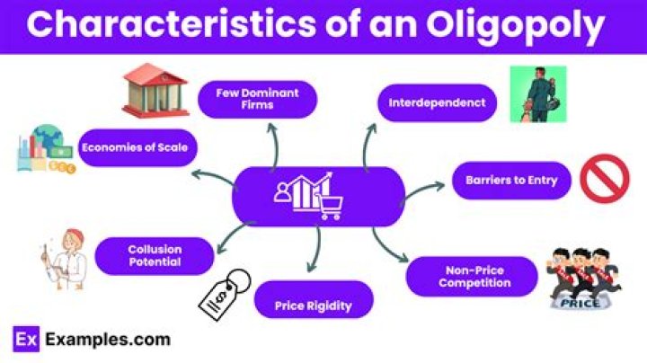 What are some of the advantages and disadvantages of an oligopoly?