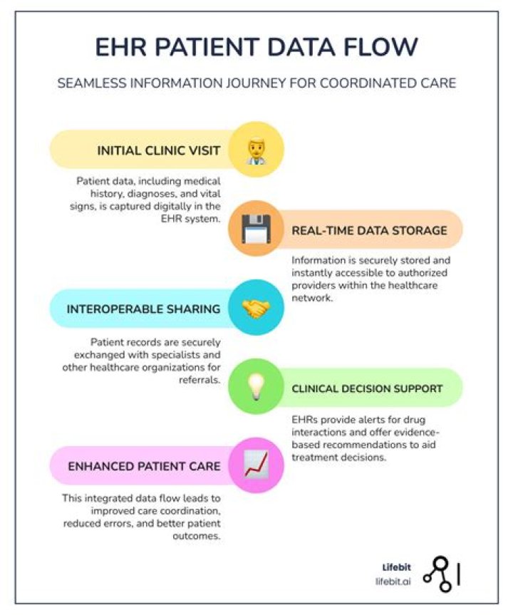 What are system alerts in EHR?