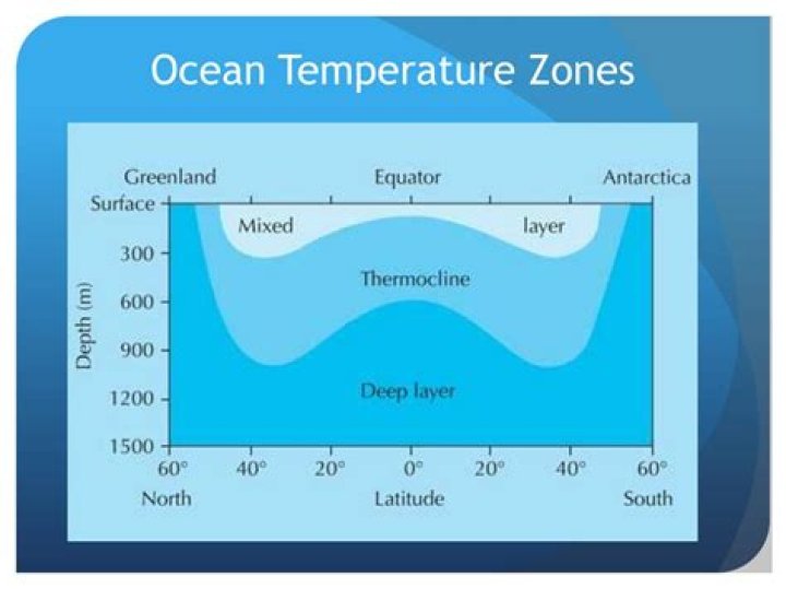 What are the 3 temperature zones of the ocean?