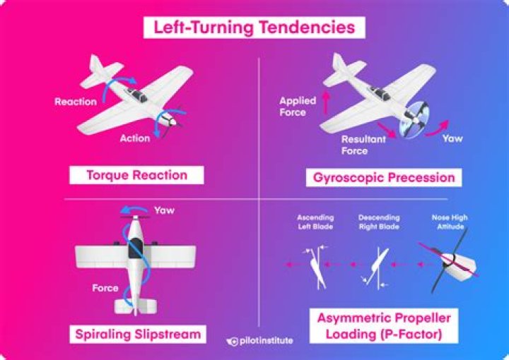 What are the 4 left-turning tendencies?