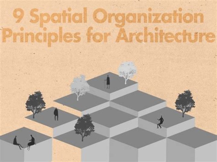 What are the 5 types of spatial organization?