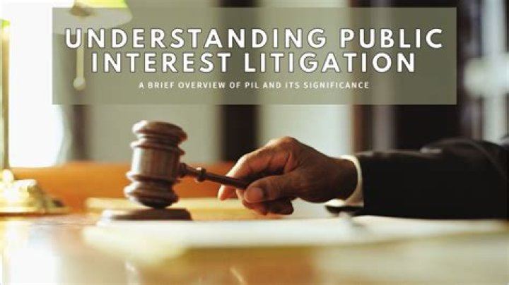 What are the aims of the public interest litigation?
