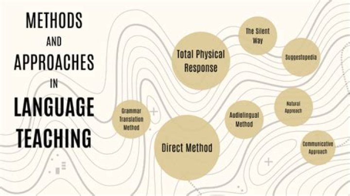 What are the alternative approaches to language learning?