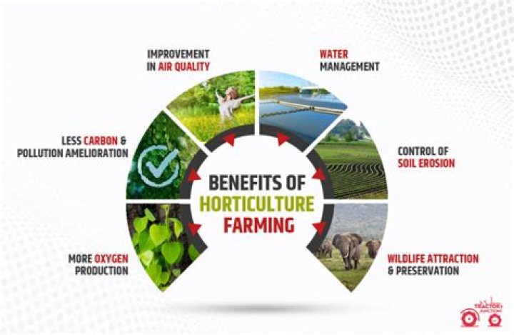 What are the benefits of horticulture to the environment?