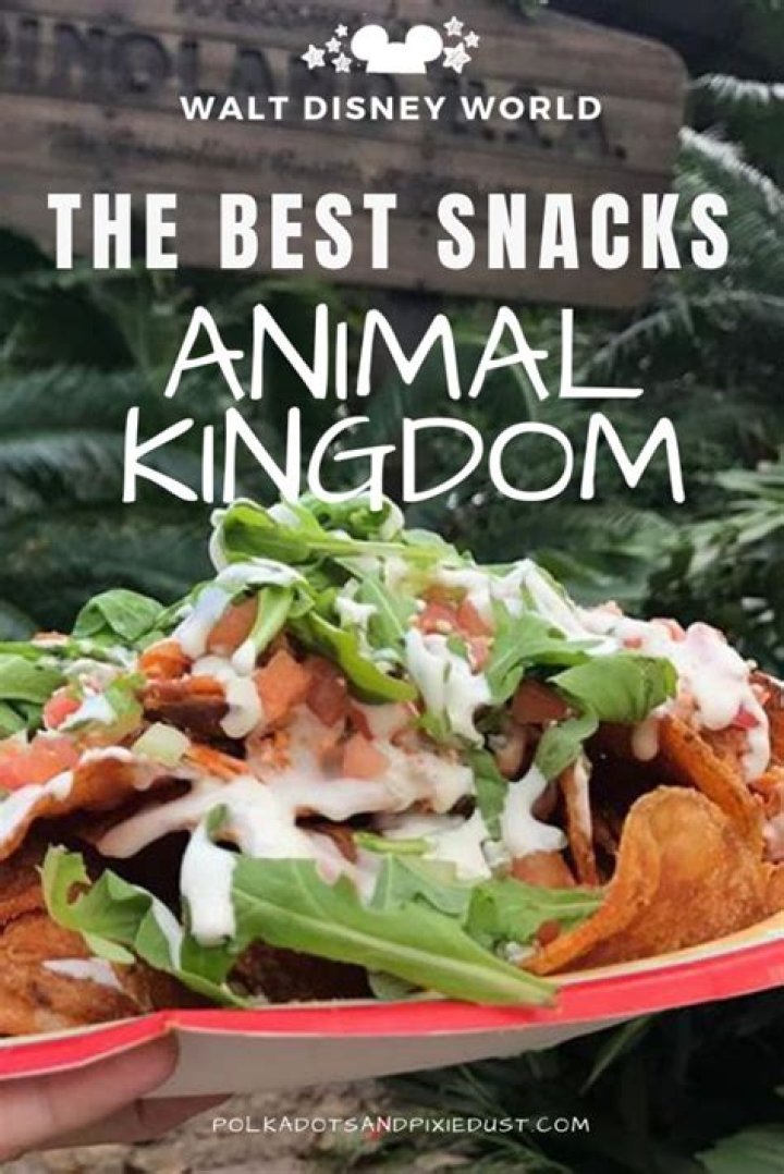 What are the best snacks at Animal Kingdom?