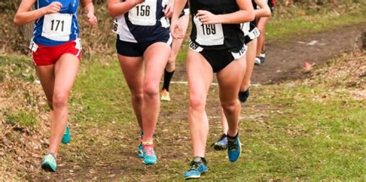What are the best spikes for cross country?