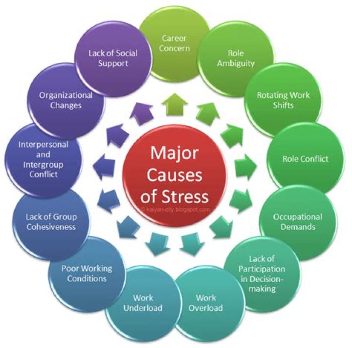 What are the causes of stress in Organisational Behaviour?