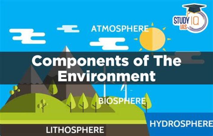 What are the components of R&D?