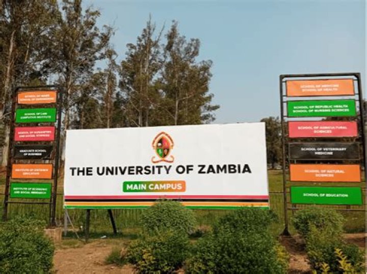 What are the courses offered at Unza?