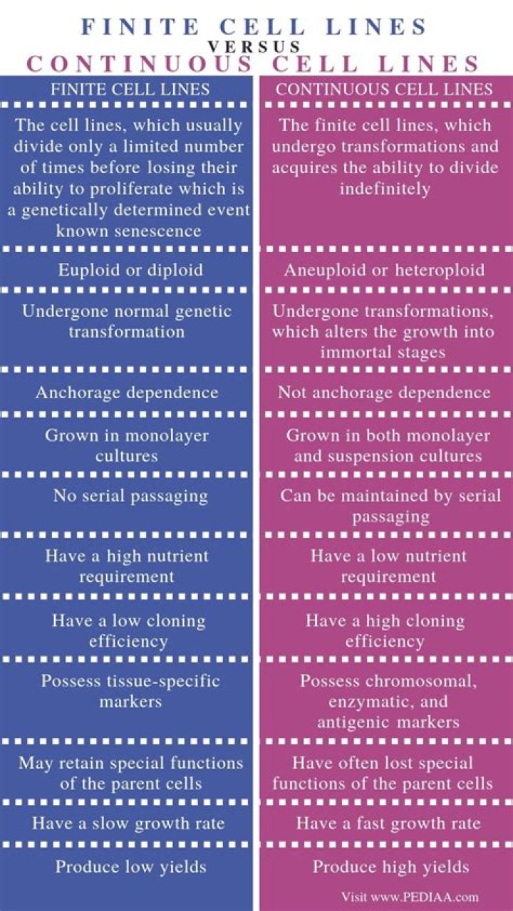 What are the differences between primary and continuous cell lines?