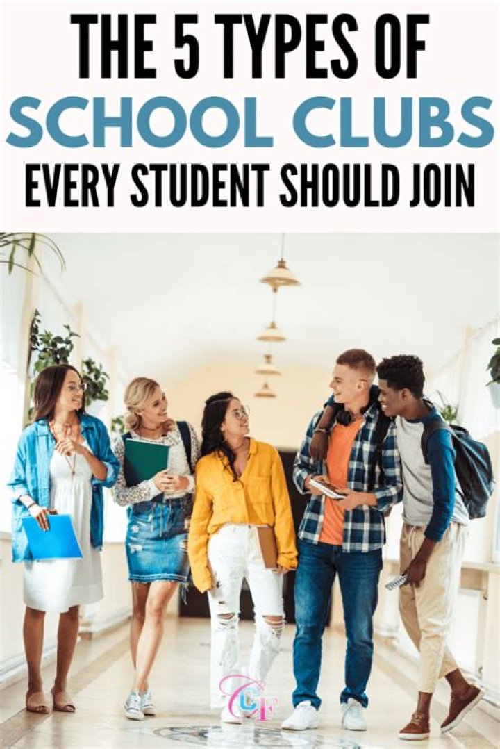 What are the different clubs in school?