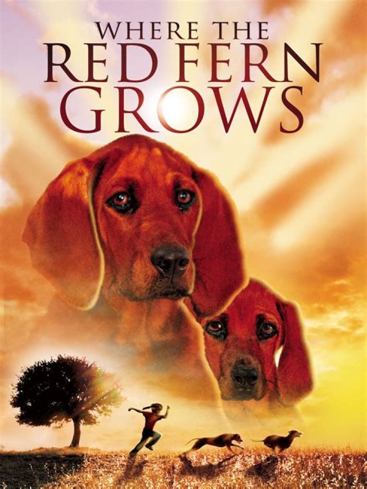 What are the dog's name in Where the Red Fern Grows?