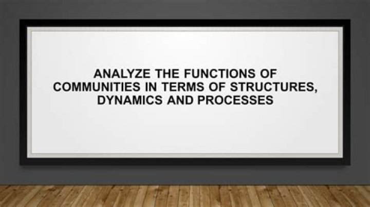 What are the dynamics and processes of a community?