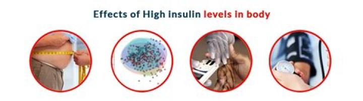 What are the effects of high insulin levels?