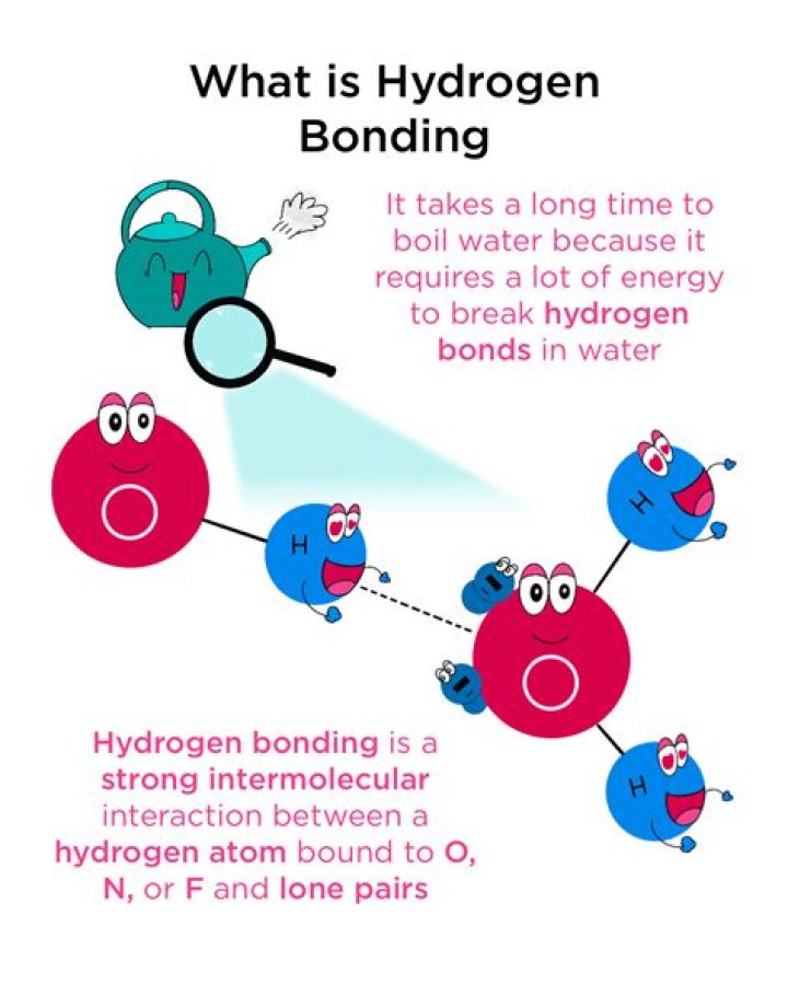 What are the effects of hydrogen bonding?
