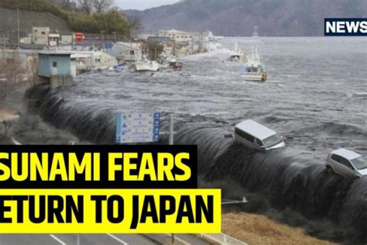 What are the effects of tsunami in Japan?