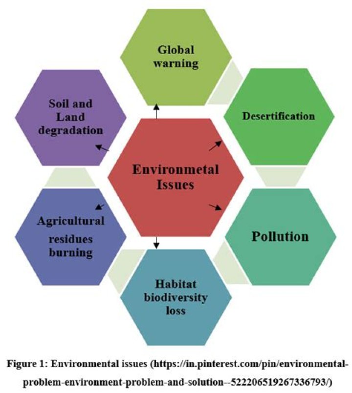 What are the environmental challenges of international management?