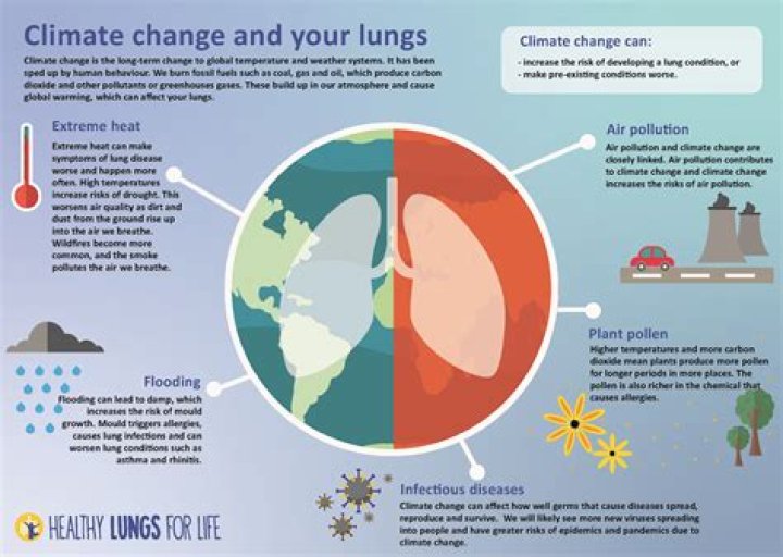 What are the factors of global warming?