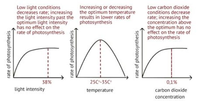 What are the factors which affect the natural light?