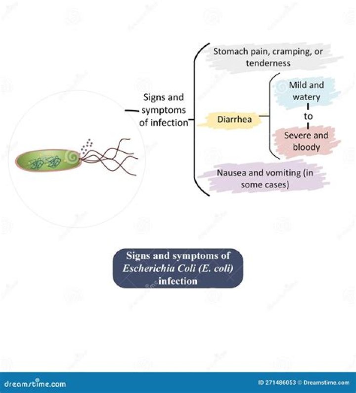 What are the first symptoms of E coli?