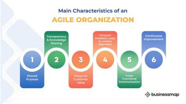 What are the four forms of Organisational agility?