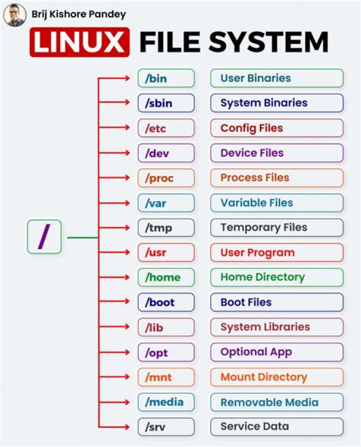 What are the four main common attributes of a file?