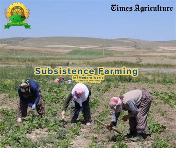 What are the four types of subsistence agriculture?
