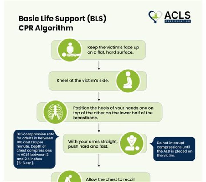 What are the guidelines for adult CPR?