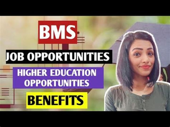 What are the job opportunities after BMS?