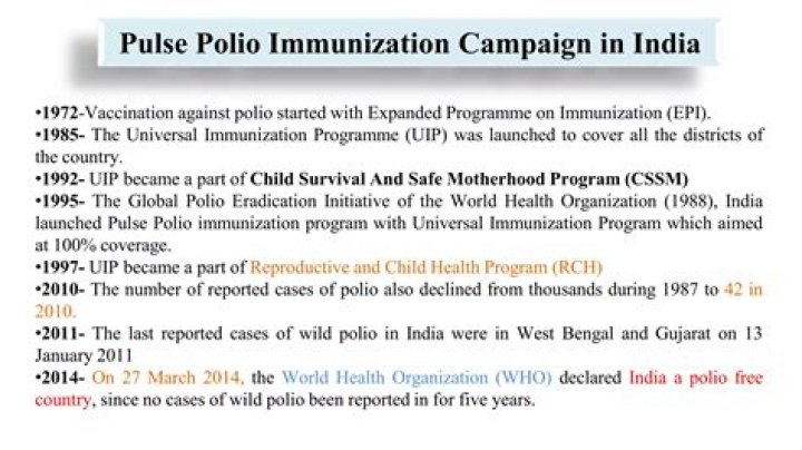 What are the key components of Pulse Polio Immunization Programme?