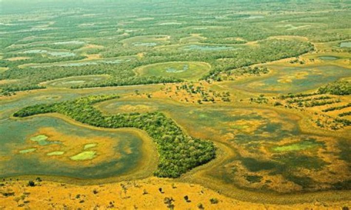 What are the largest wetlands in the world?