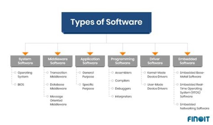 What are the main categories of any software?