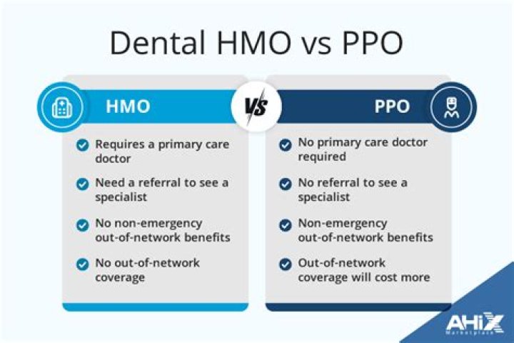 What are the main characteristics of an HMO?