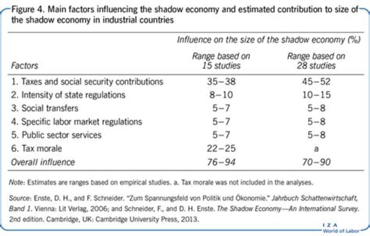 What are the main factors influencing the shadow economy?