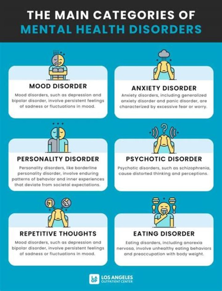 What are the major categories of mental disorders?