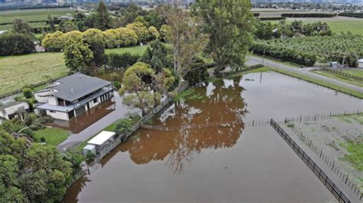 What are the major environmental problems in New Zealand?