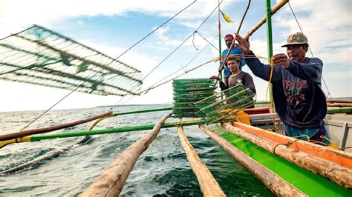 What are the major fishery resources in the Philippines?