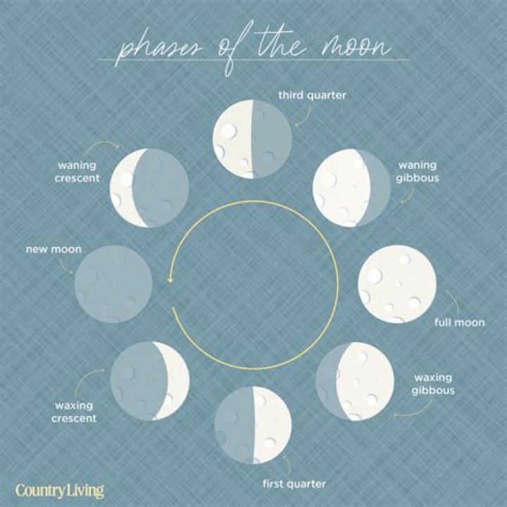 What are the moon phases in January 2020?