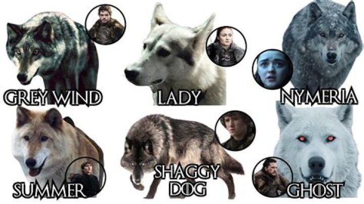 What are the names of the Starks Direwolves in Game of Thrones?