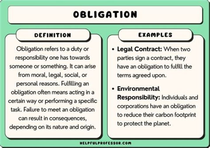What are the obligations of a pet owner?