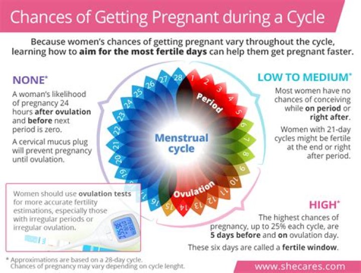 What are the odds of getting pregnant one day before ovulation?