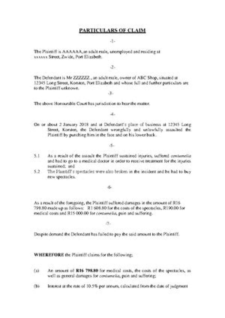 What are the particulars of claim?